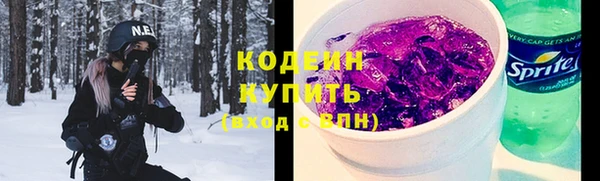 шишки Богородицк