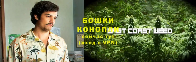 Бошки марихуана THC 21%  Заречный 